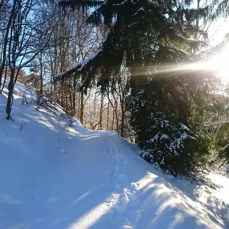 Family Comfort In Güntersberge