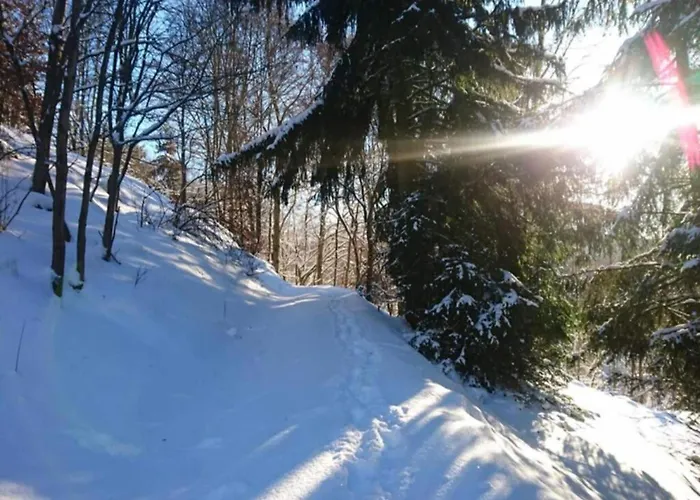 Family Comfort In Güntersberge