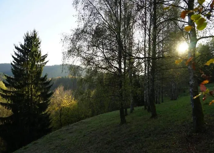 Family Comfort In Güntersberge